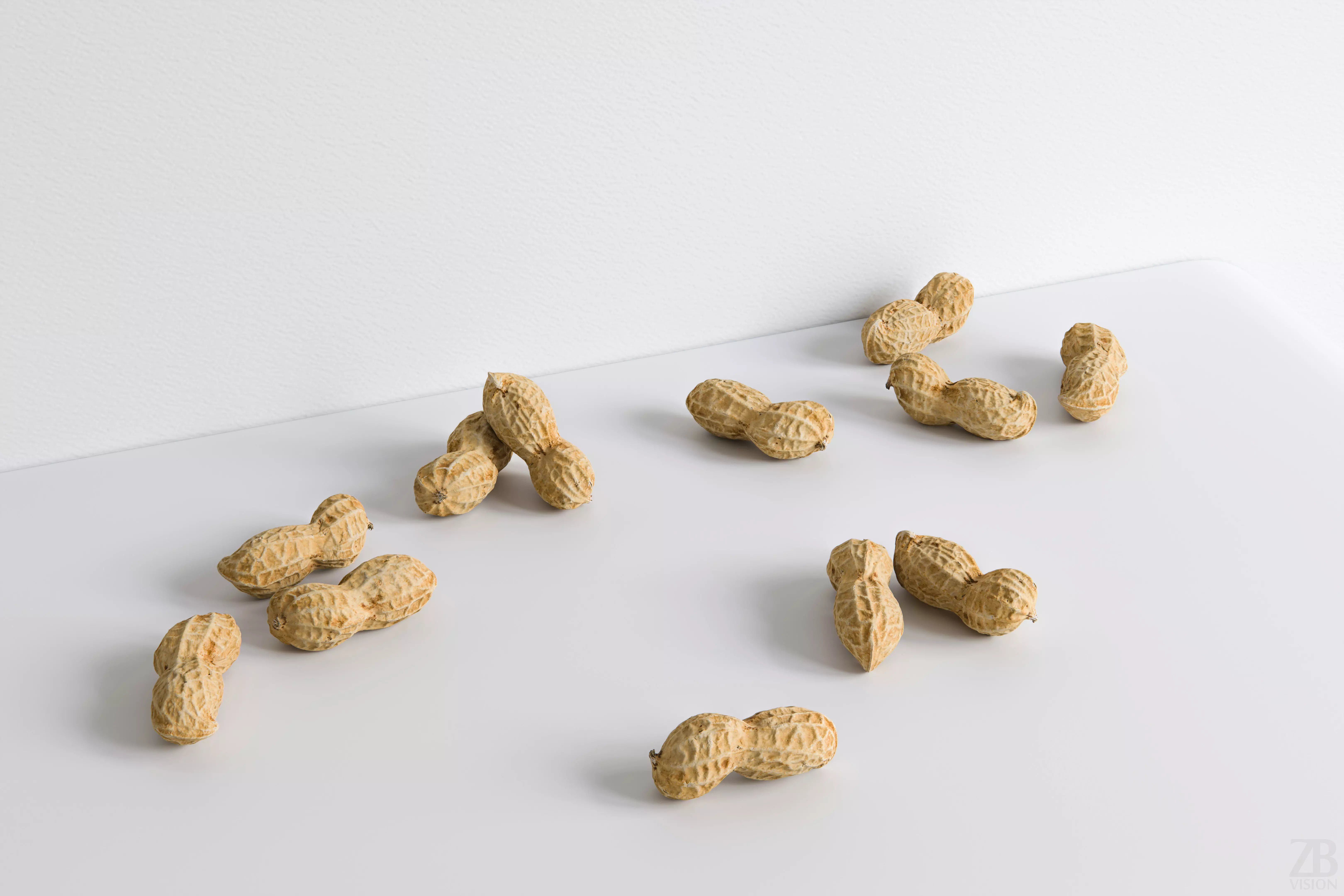 Peanut 3D model_0