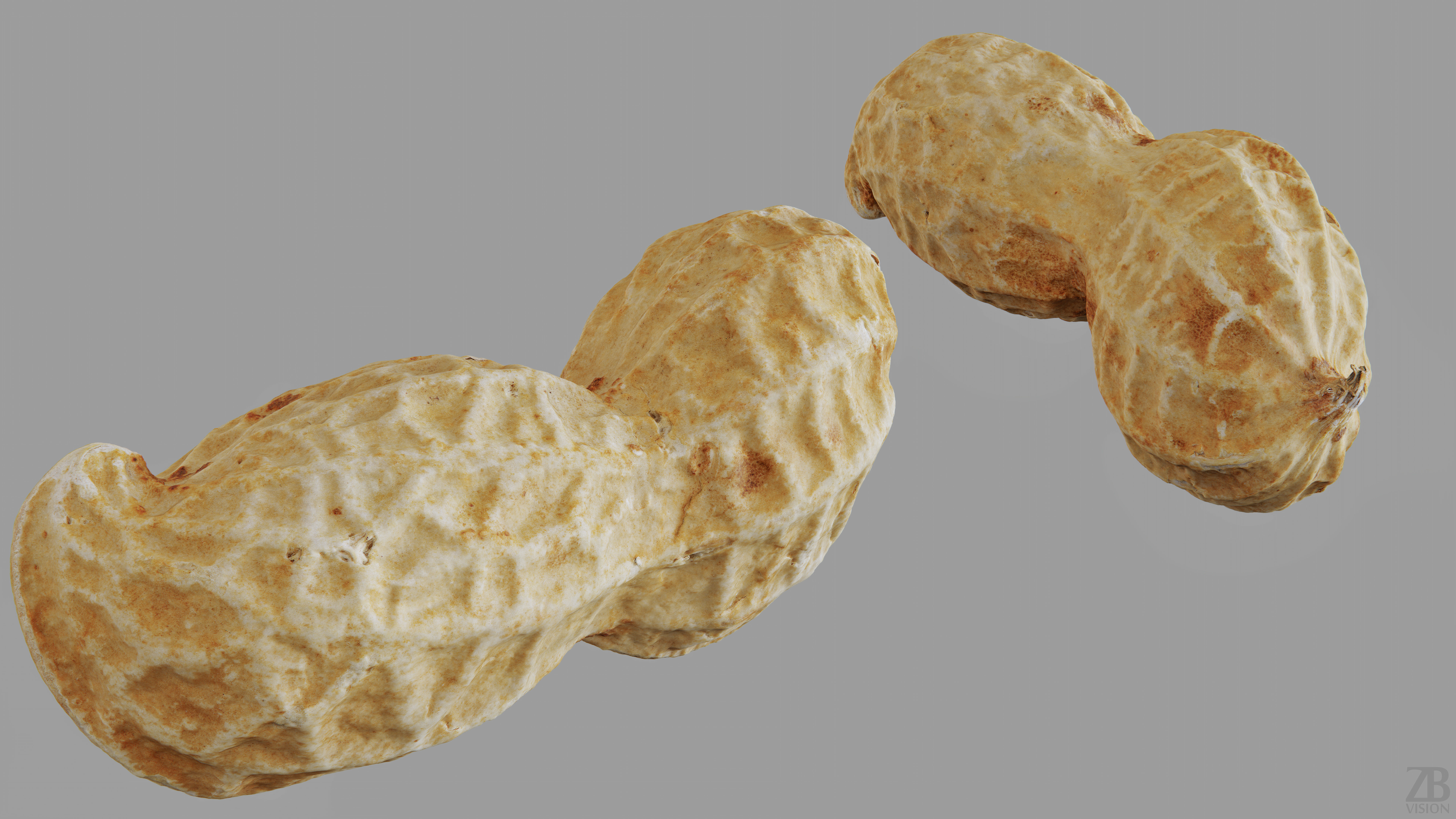 Peanut 3D model_10