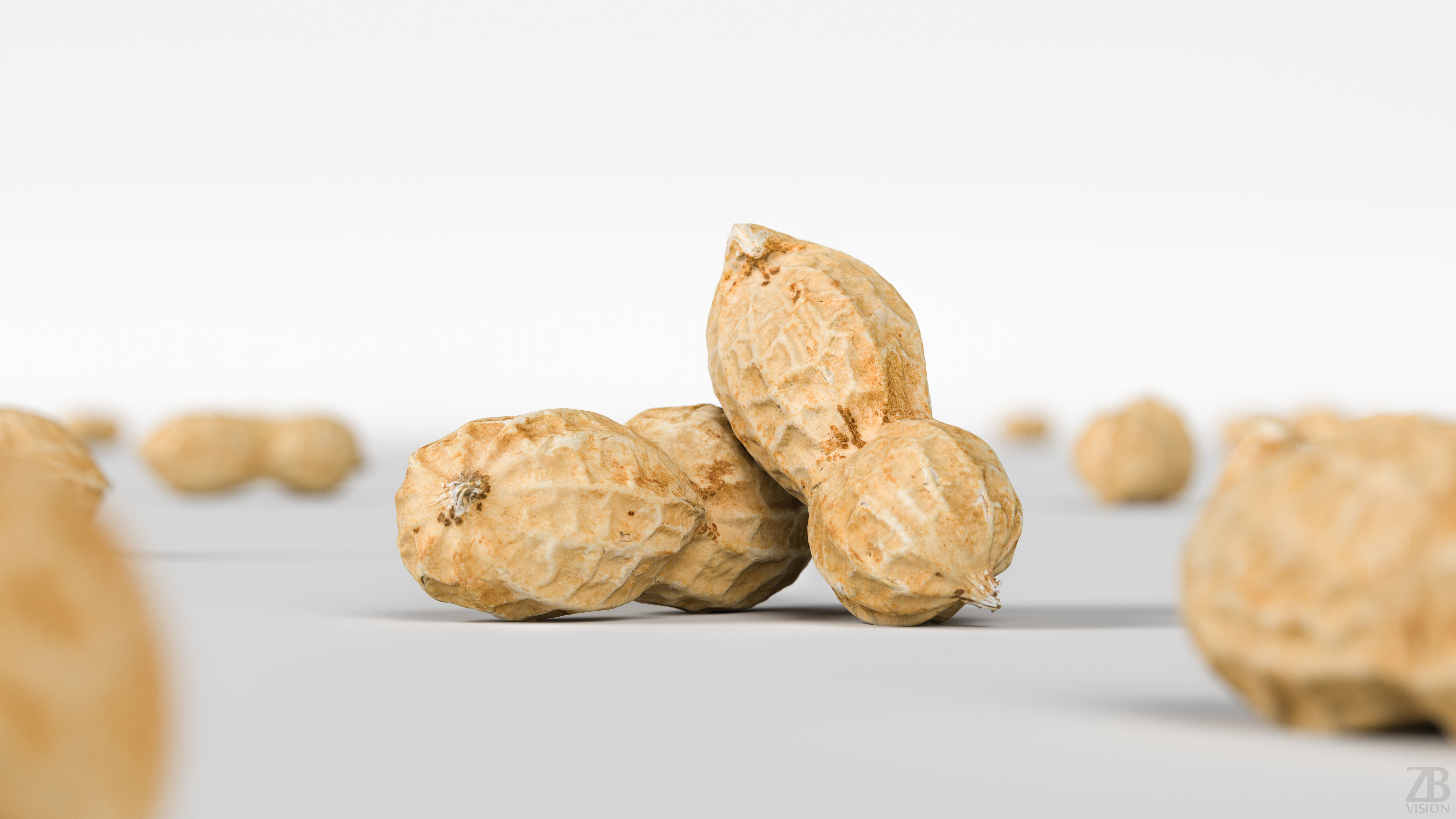 Peanut 3D model_1