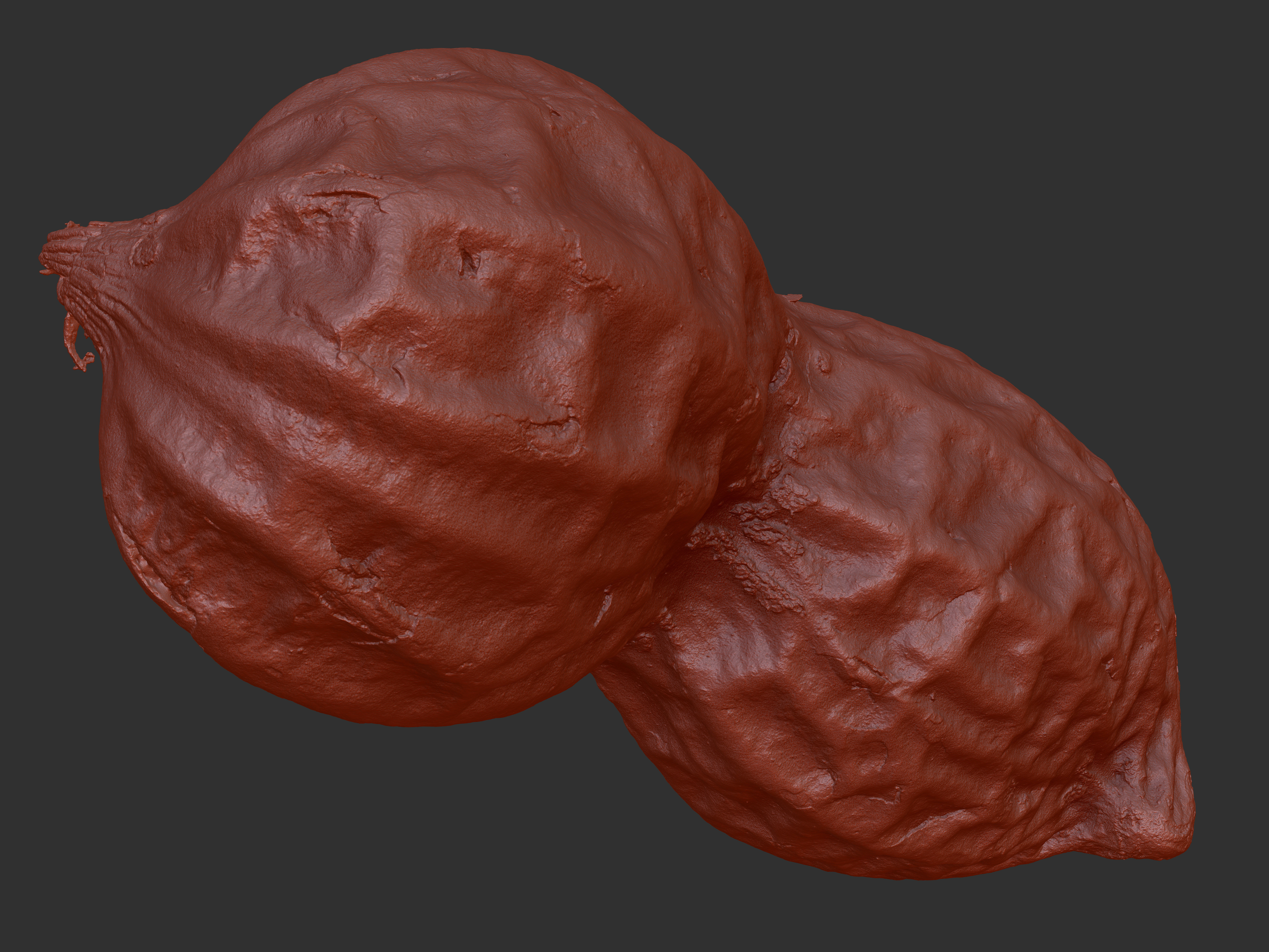 Peanut 3D model_7