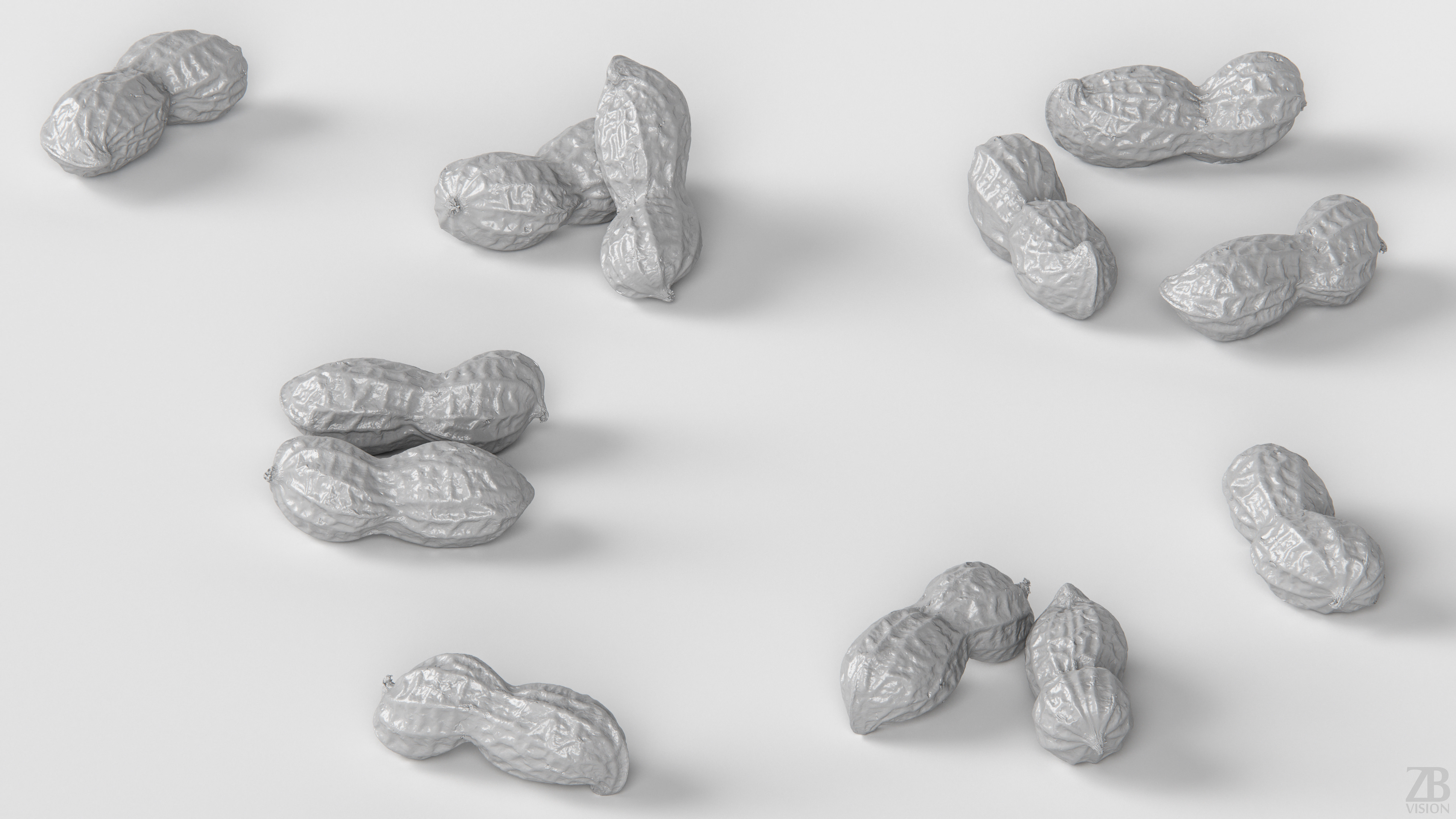 Peanut 3D model_3