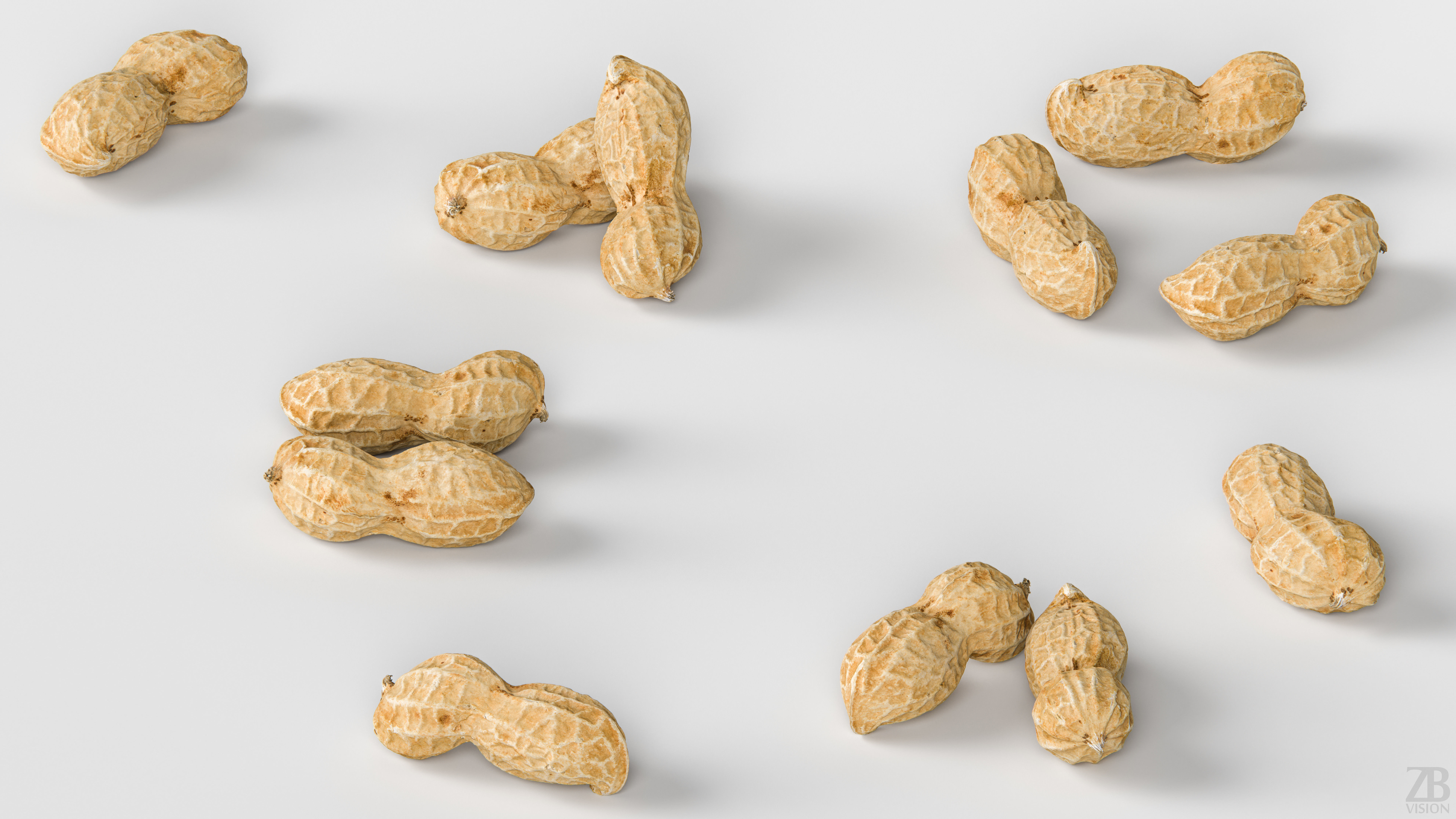 Peanut 3D model_2