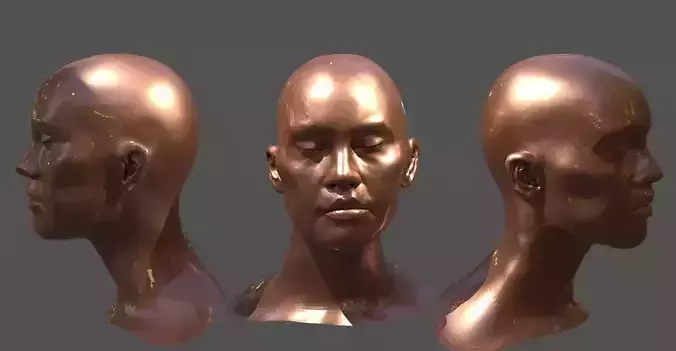 Fashion Inspired Head sculpture 2