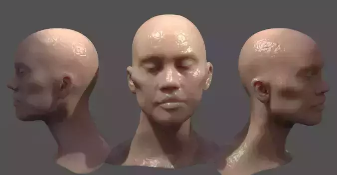 Fashion Inspired Head sculpture 3