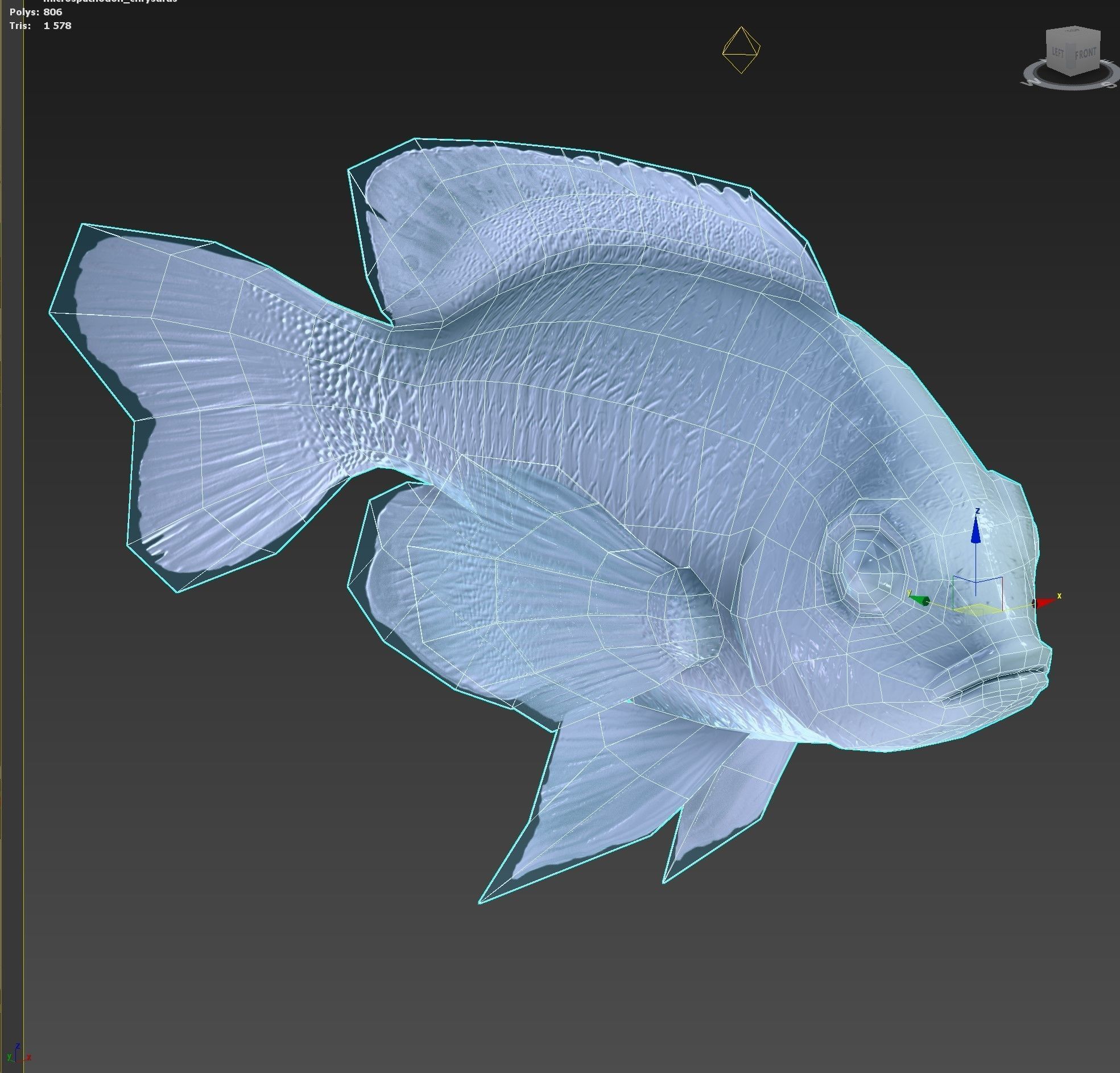 Fish Microspathodon Chrysurus Low-poly 3D model_10