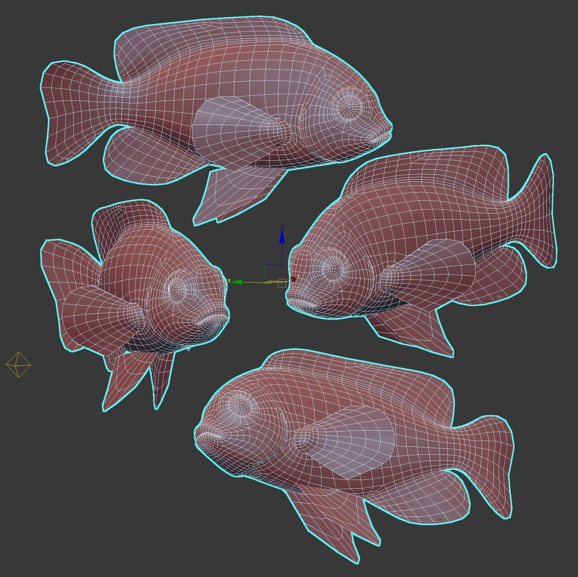 Fish Microspathodon Chrysurus Low-poly 3D model_7