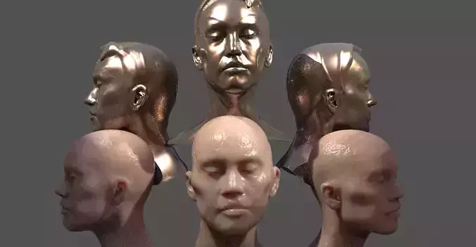 Fashion Inspired Head sculpture 2 designs 