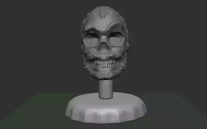 Skulls skull