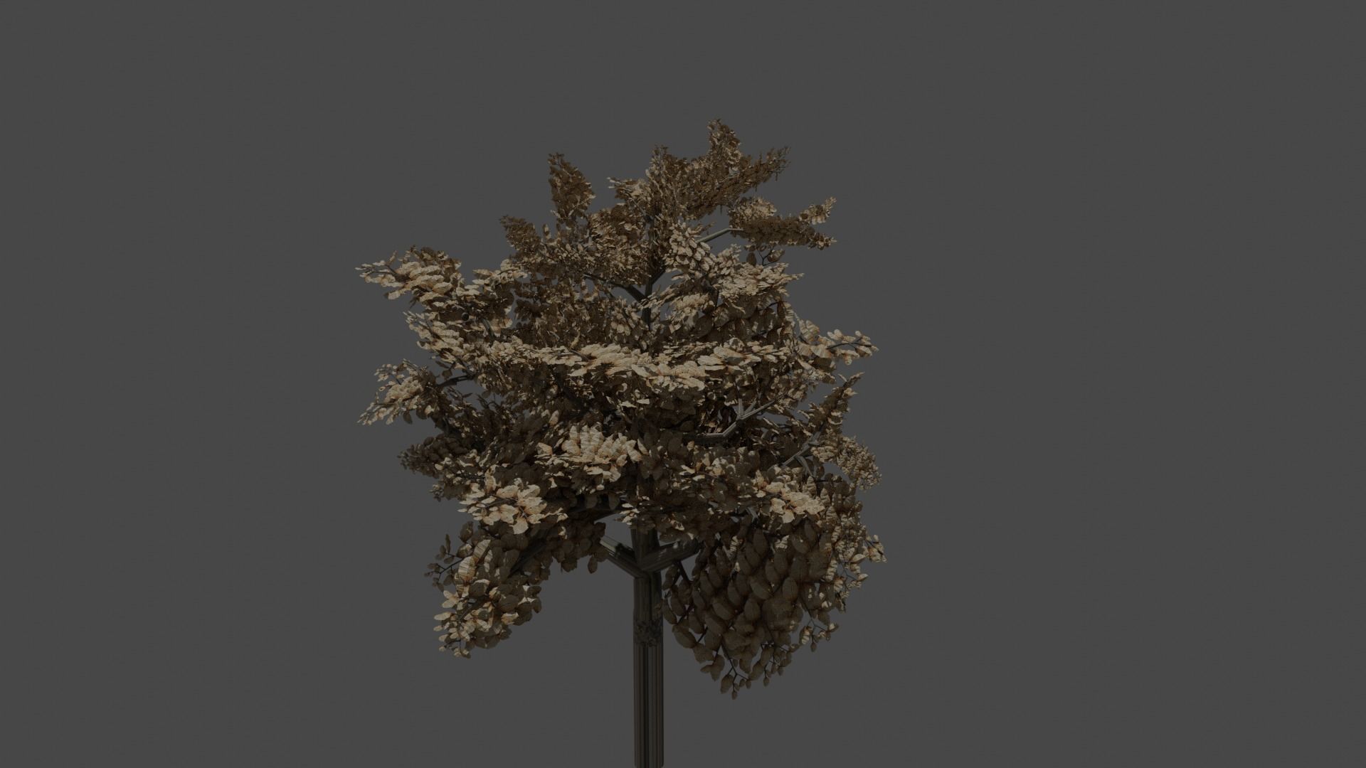 Blender tree  3D model_3