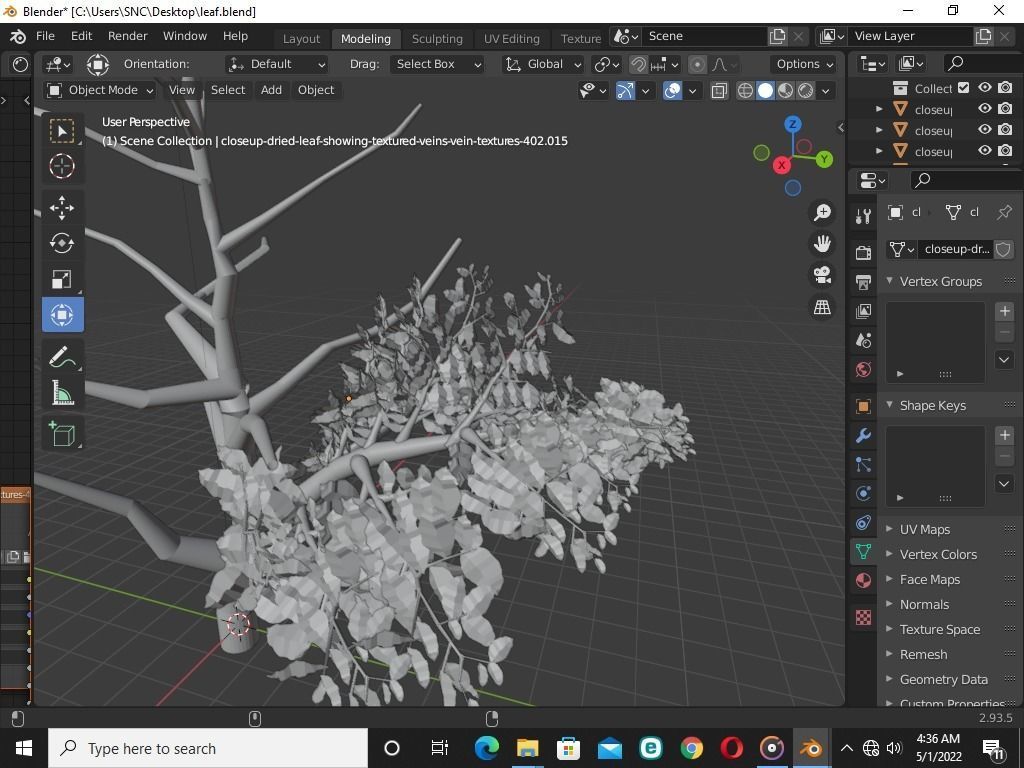 Blender tree  3D model_2