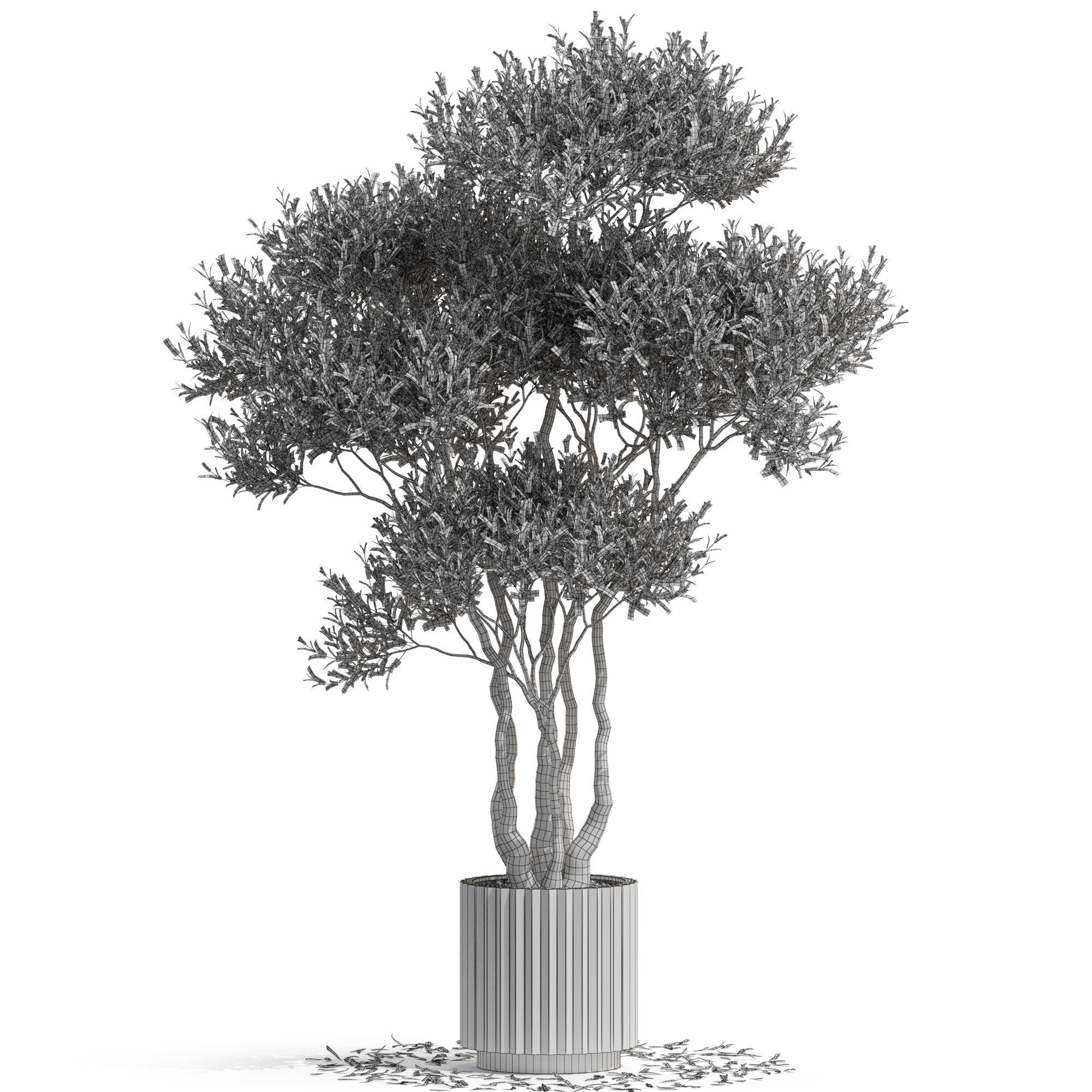 Plants collection 723 3D model_3