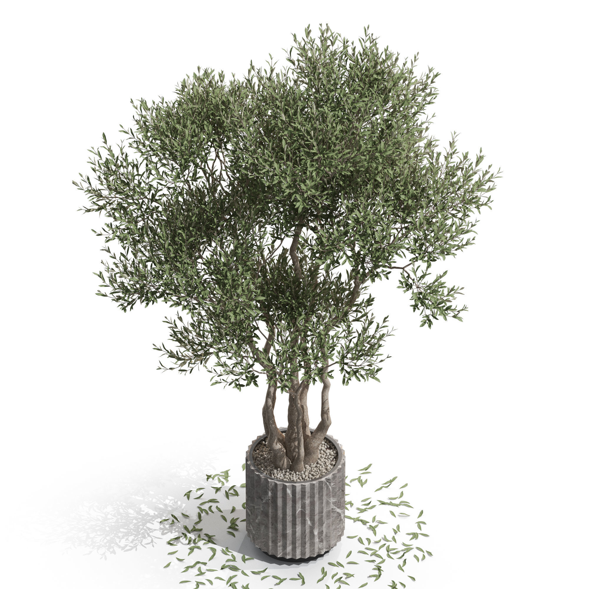 Plants collection 723 3D model_2