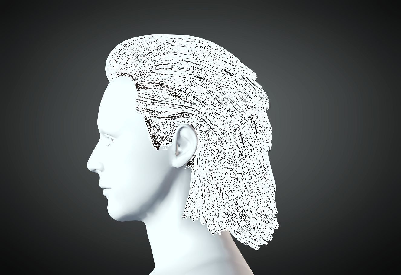 3D Hair style for Man 91 3D model 3D print model_3