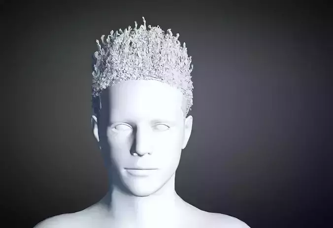 3D Hair style for Man 96 3D model