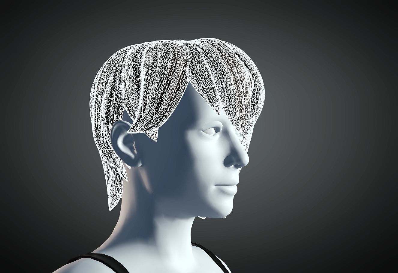 3D Hair style for Female 1 3D model 3D print model_5