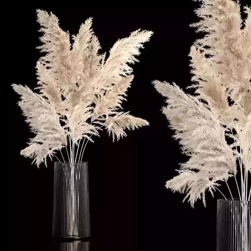 Bouquet Dried Flowers From Pampas Grass In A Vase 246