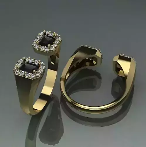 Ring Model 1396