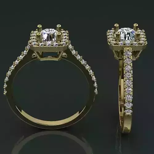 Ring Model 1407
