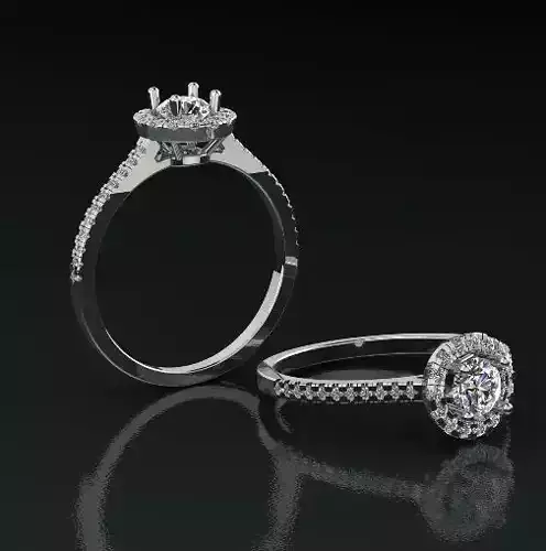 Ring Model 1421