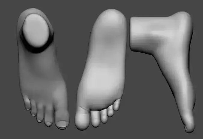 Foot Zbrush2022 file and low poly and high poly 3D model