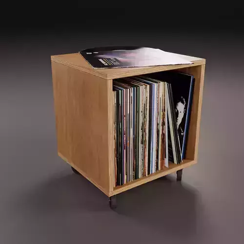 Vinyl Storage No40