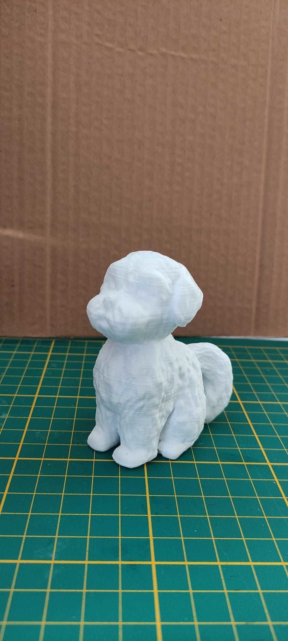 Malts or shih-tzu dog for 3d Printing 3D print model_3