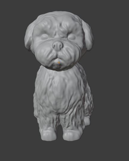 Malts or shih-tzu dog for 3d Printing 3D print model_8