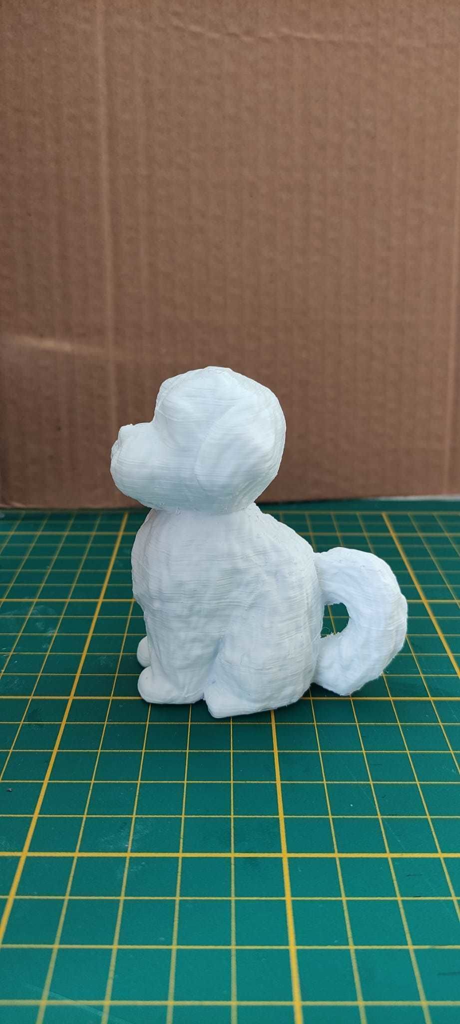 Malts or shih-tzu dog for 3d Printing 3D print model_1