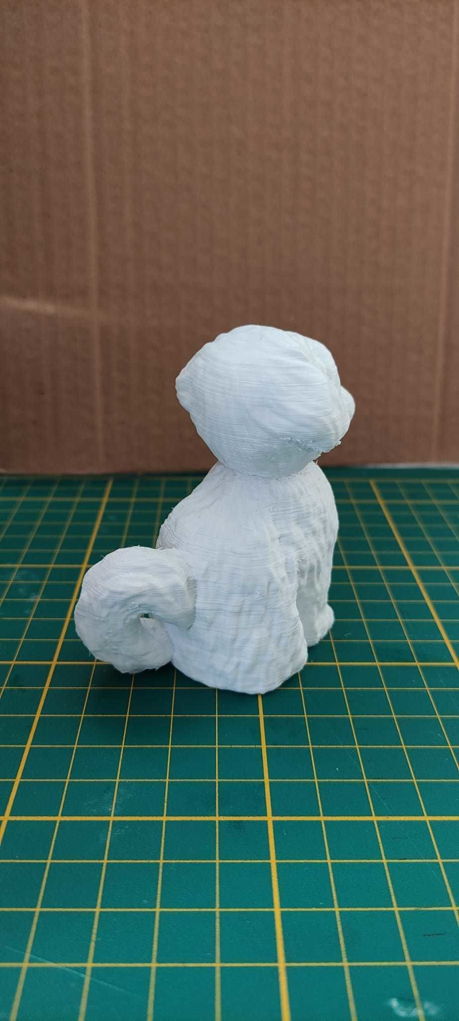 Malts or shih-tzu dog for 3d Printing 3D print model_4