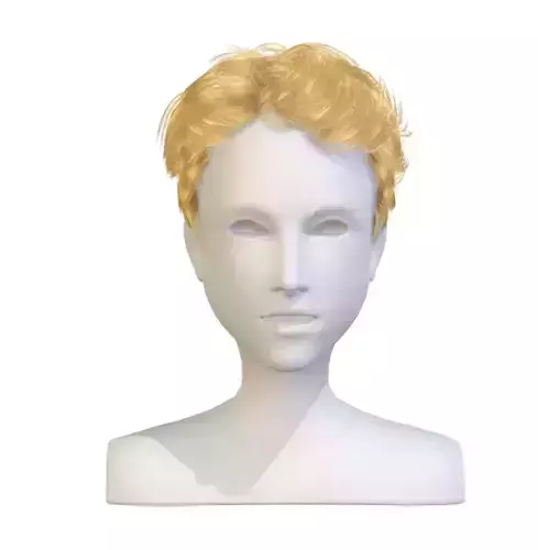 cartoon lush man haircut of short lenght Hairstyle