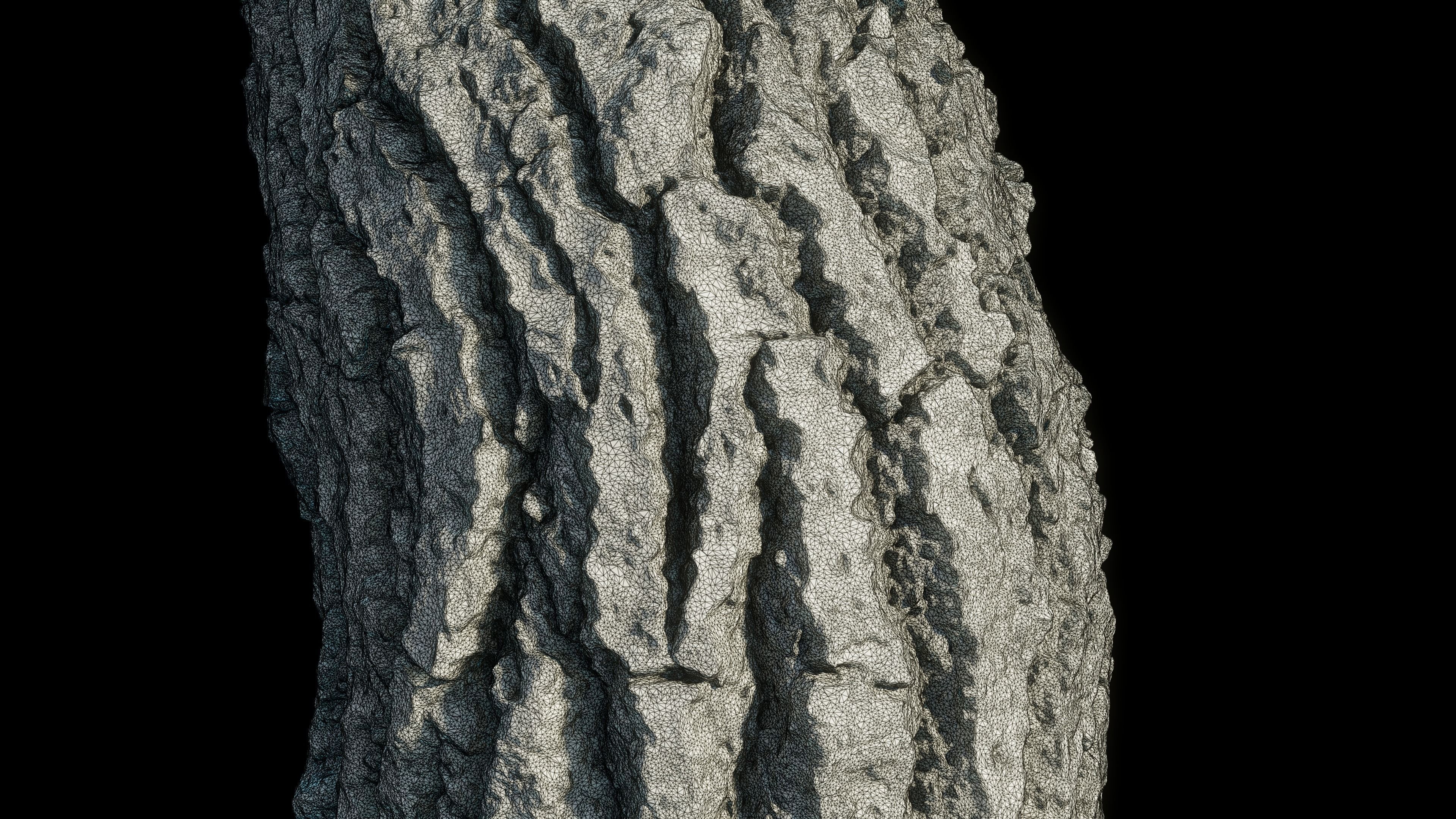 tree11scan tree trunk 3D model_9