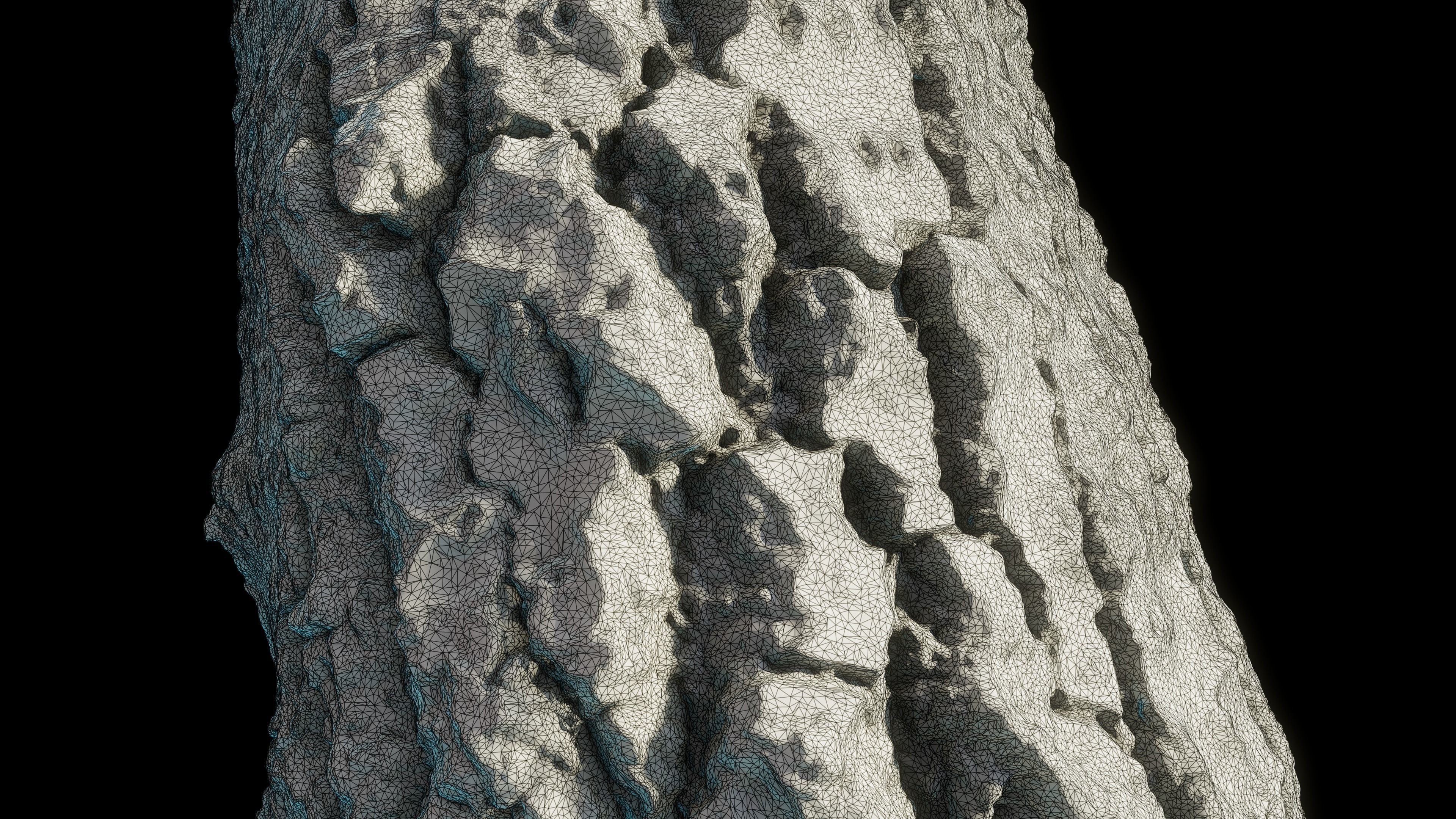 tree11scan tree trunk 3D model_10