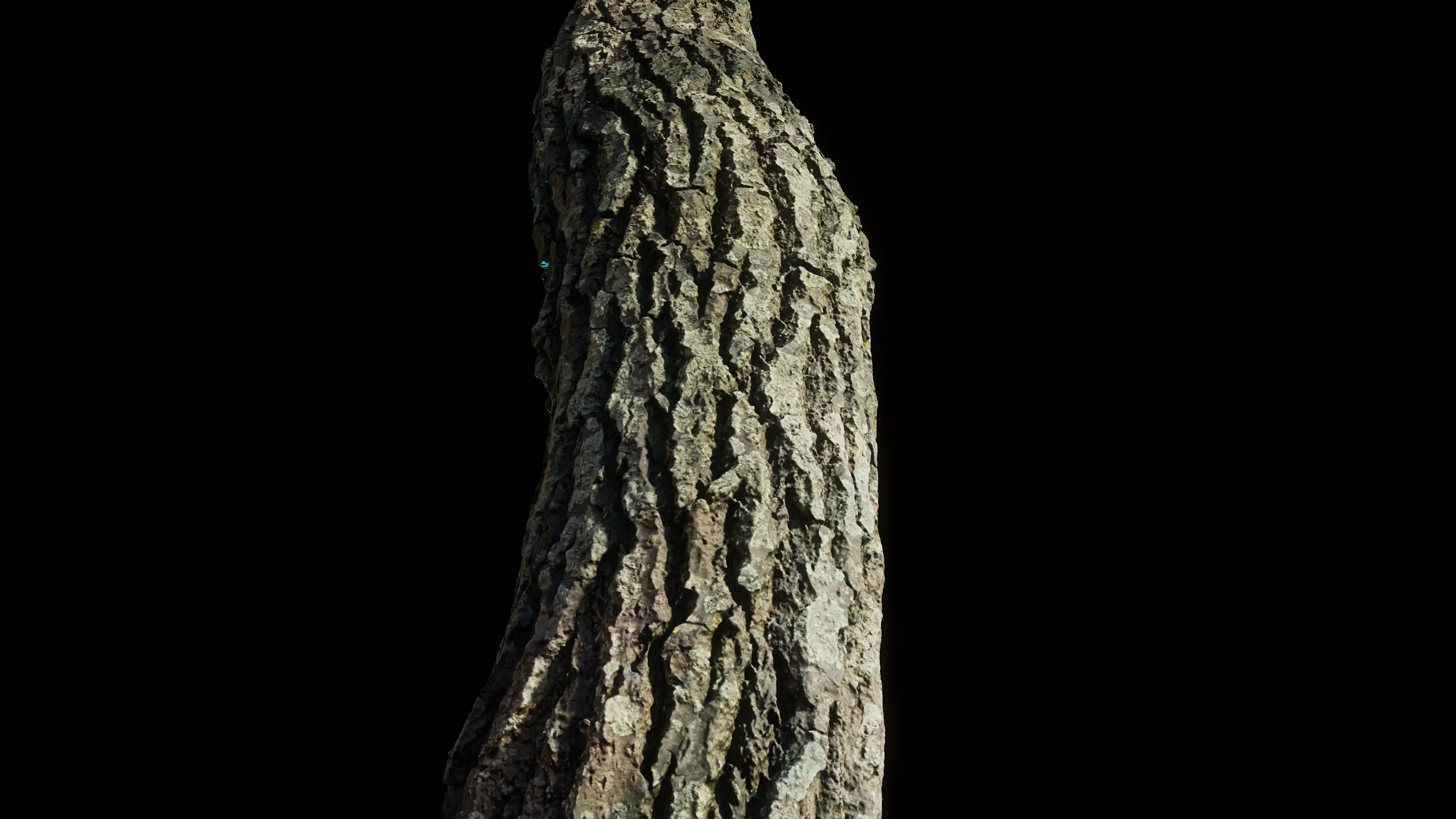 tree11scan tree trunk 3D model_0