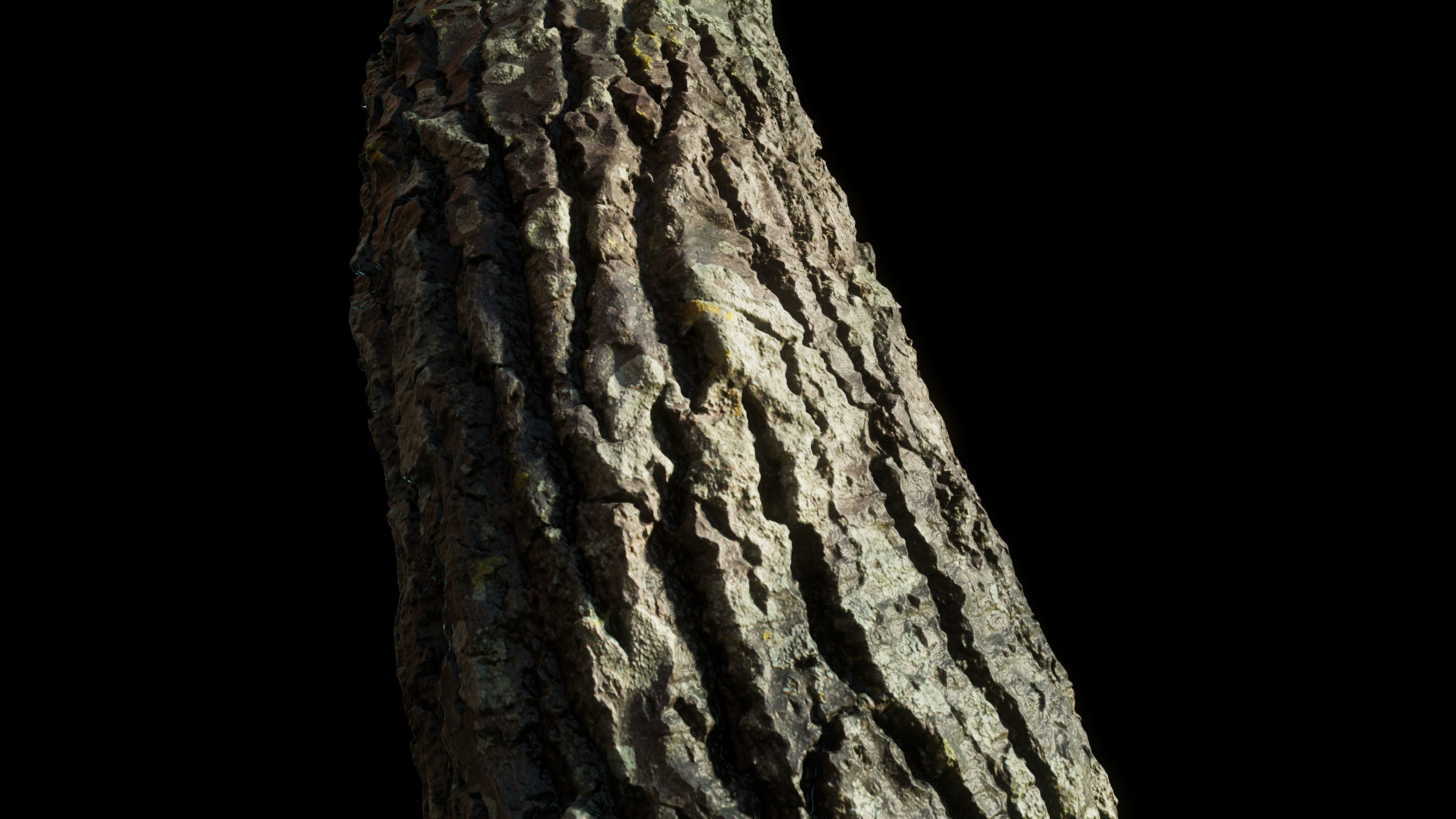 tree11scan tree trunk 3D model_13