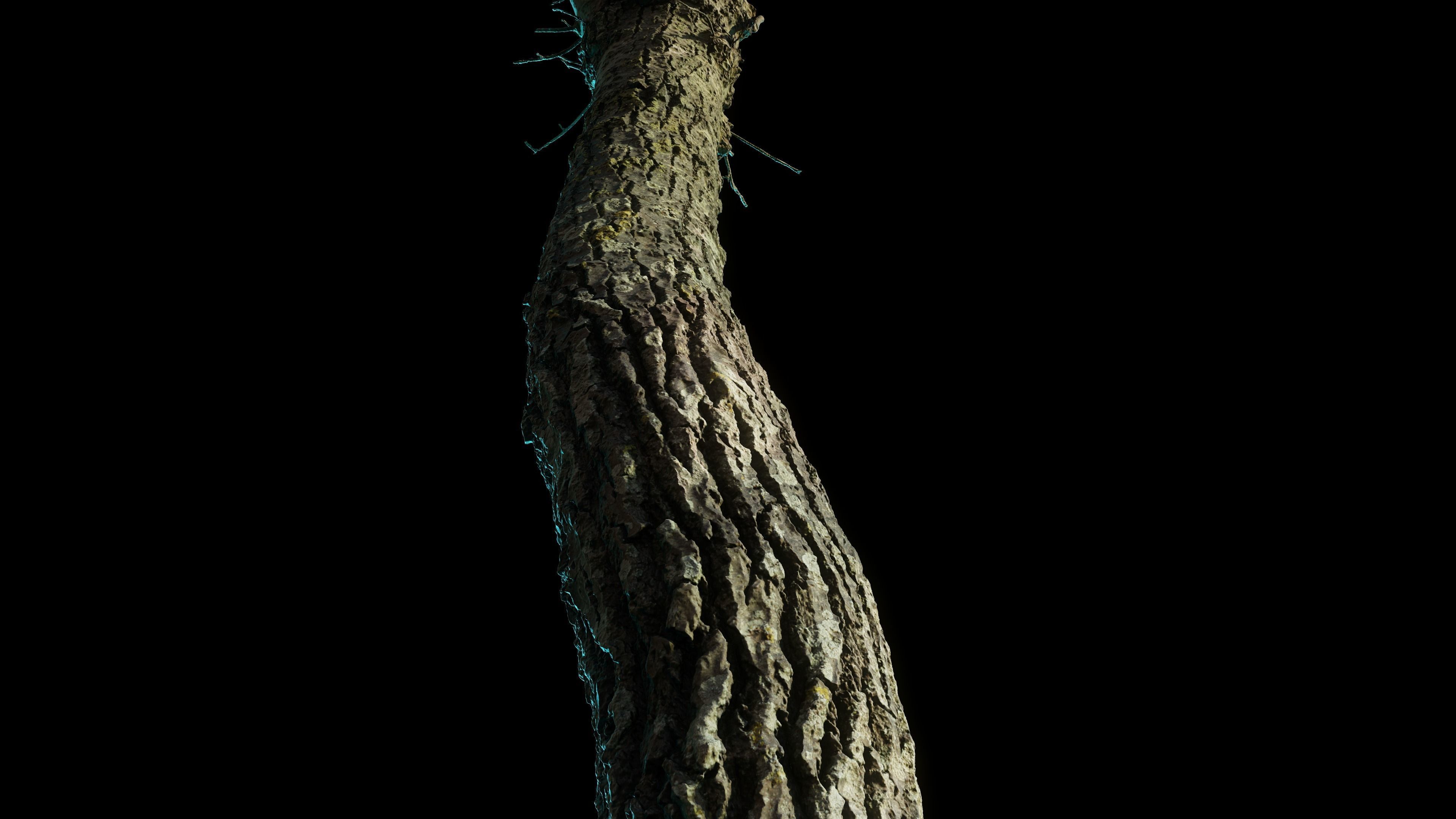 tree11scan tree trunk 3D model_7