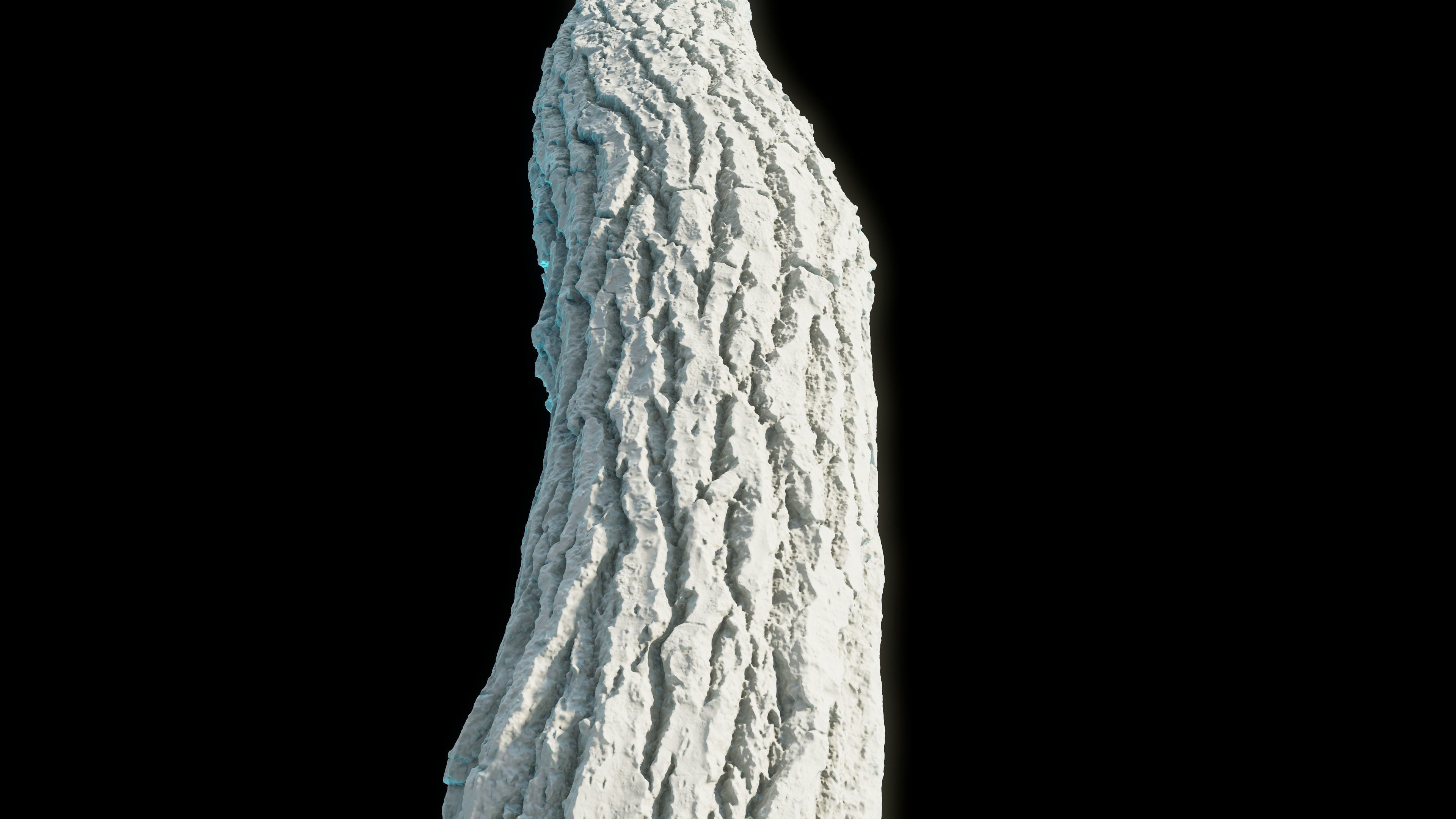 tree11scan tree trunk 3D model_8