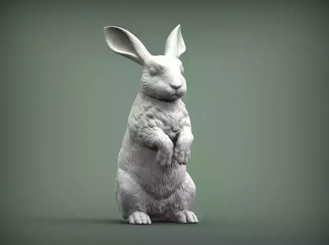 Rabbit bunny 3D print model
