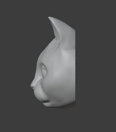 Cat head for 3d print 3D print model_4