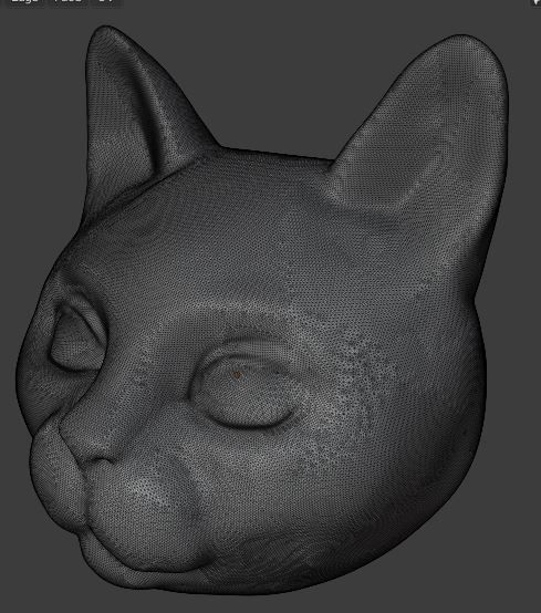 Cat head for 3d print 3D print model_6