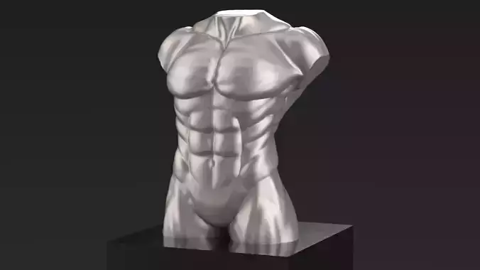 Male Body Torso STL for 3Dprint 3D print model
