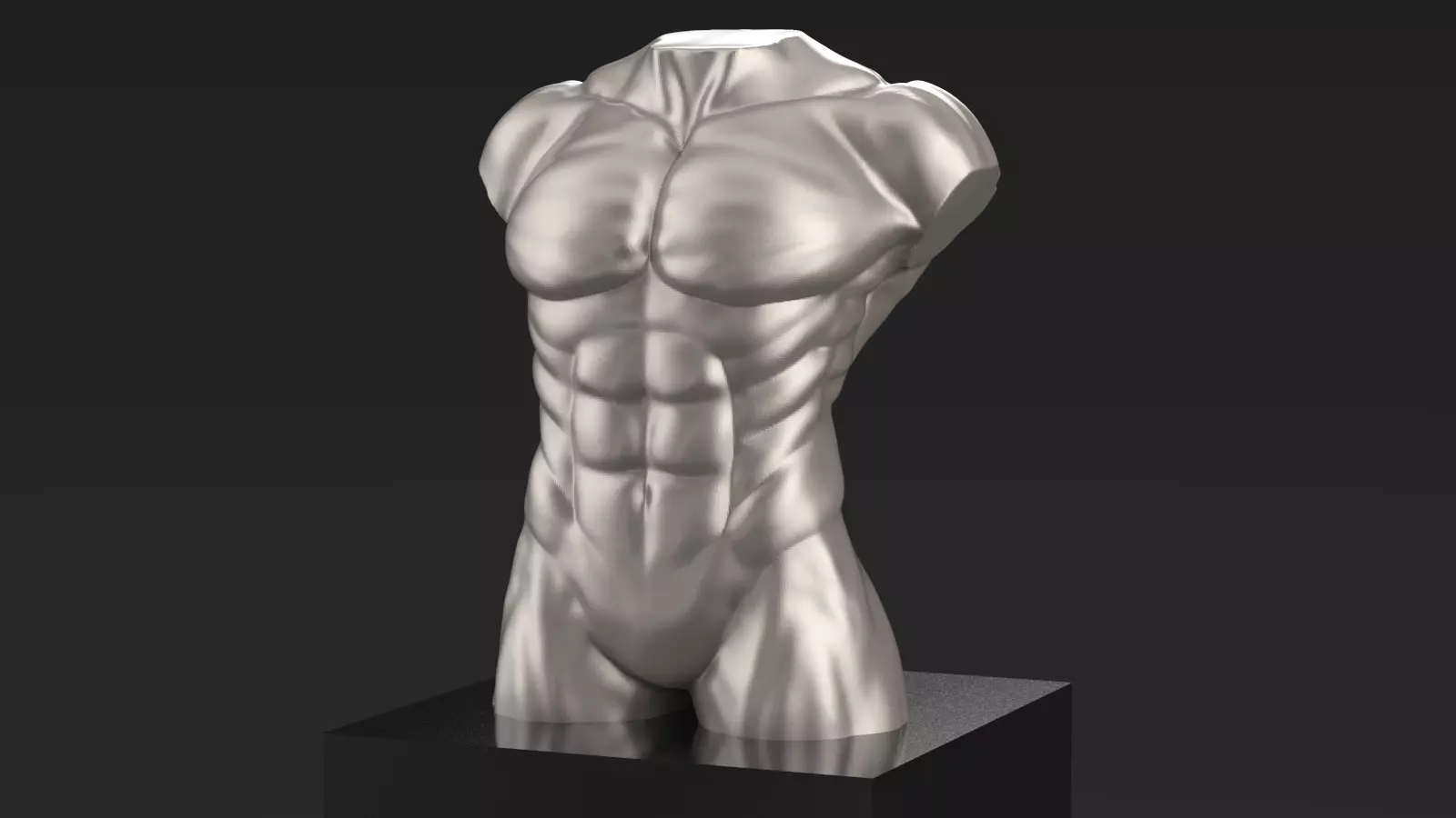 Male Body Torso STL for 3Dprint 3D print model_0