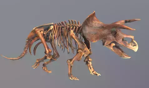 Animated Triceratops
