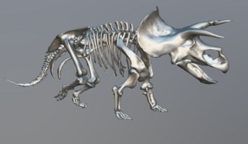 Animated Triceratops 3D model_3