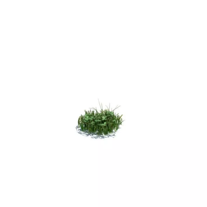 Green Leafy Grass Tuffet 3D model_0