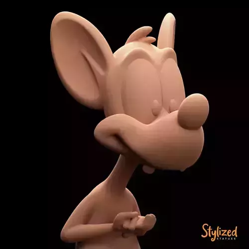 PINK of Pink and The Brain