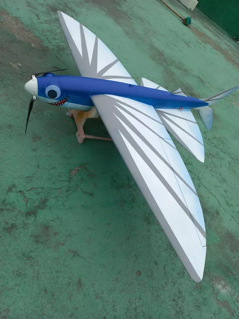 FUN FLY RC FLYING FISH GLIDER WINGSPAN 1078MM Free 3D print model