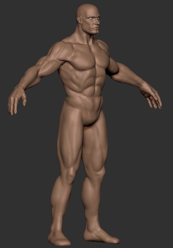 Basemesh Male Body  comics style zbrush 3D model_5