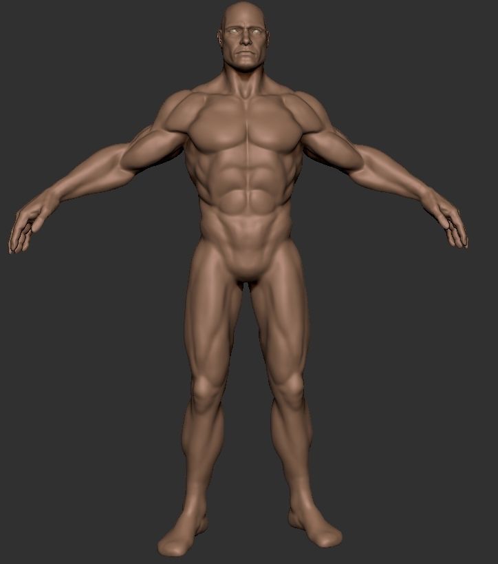 Basemesh Male Body  comics style zbrush 3D model_2