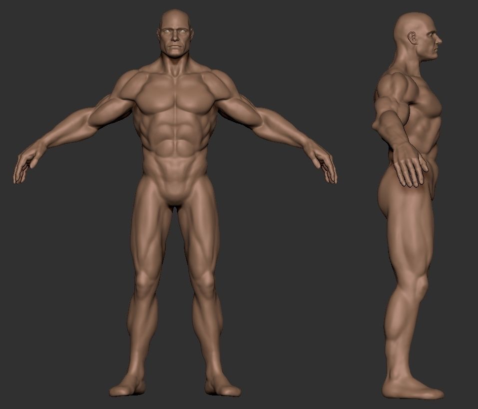 Basemesh Male Body  comics style zbrush 3D model_3
