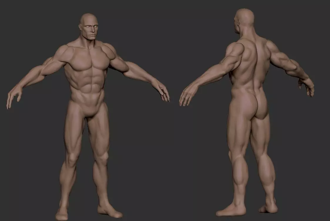 Basemesh Male Body  comics style zbrush 3D model_0